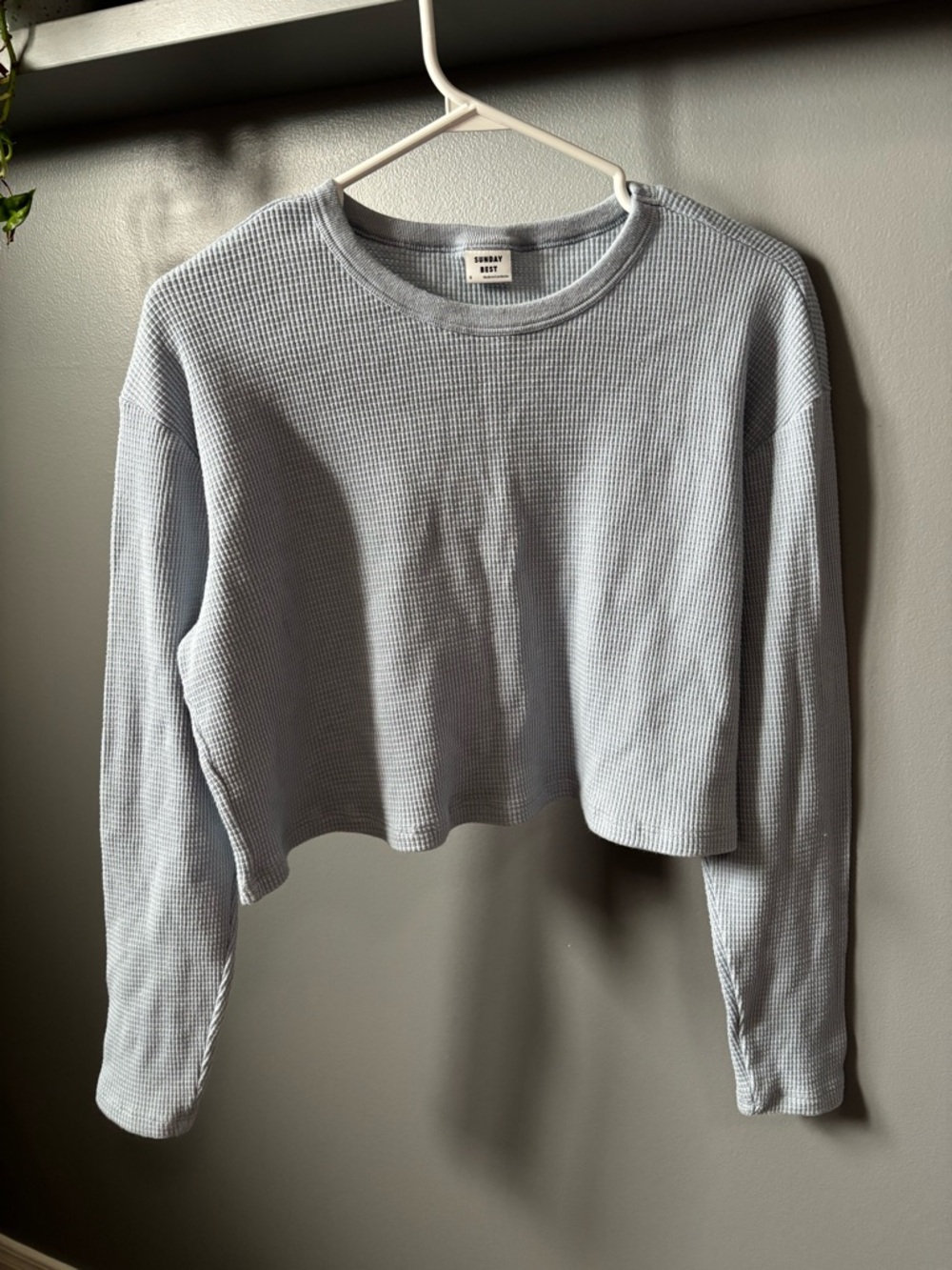 Aritzia SUNDAY BEST Light Blue Waffle Knit Cropped Long-Sleeve Top